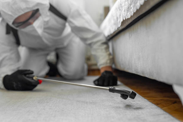 Professional Bed Bug Control technician working in South Paris, ME