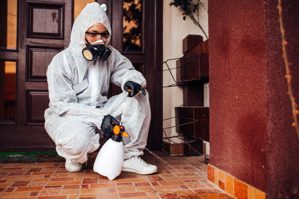 Reliable Bed Bug Control contractor in South Paris, ME by Nex Pest Control