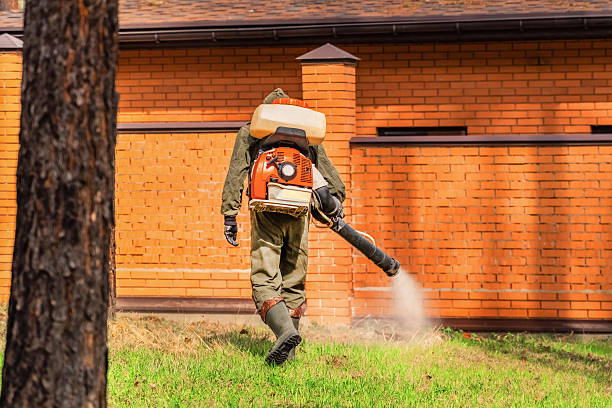 Trusted Ant Control service in South Paris, ME - Nex Pest Control